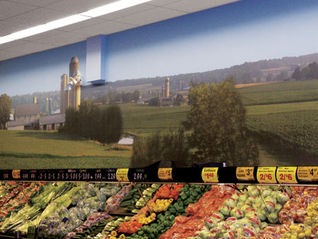 Custom Wallpaper | Lancaster, PA | Digital Express